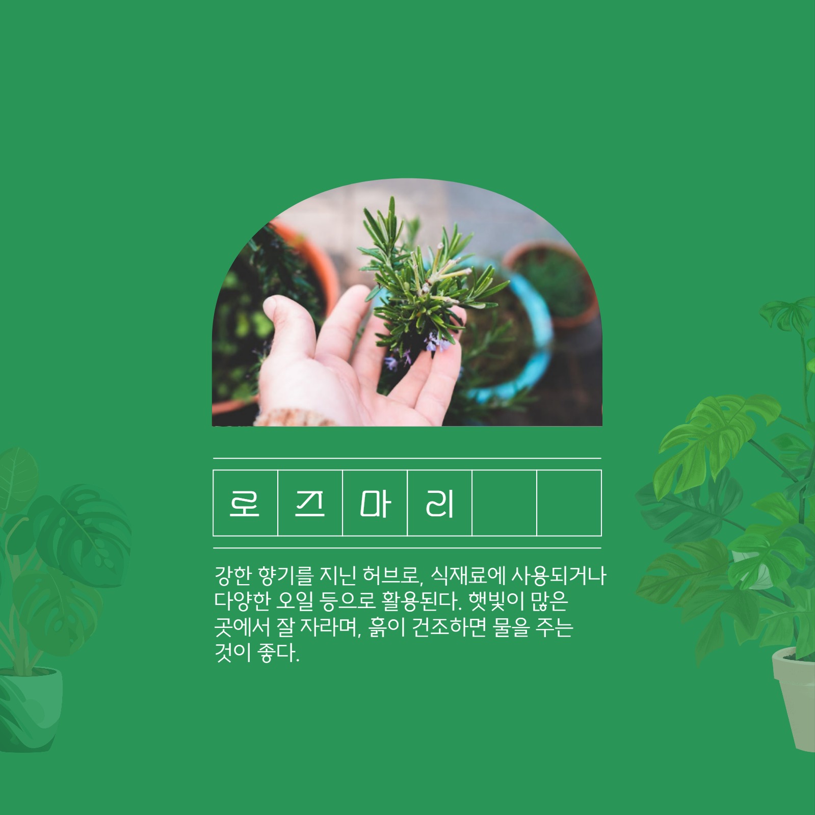 식목일 기념 카드뉴스