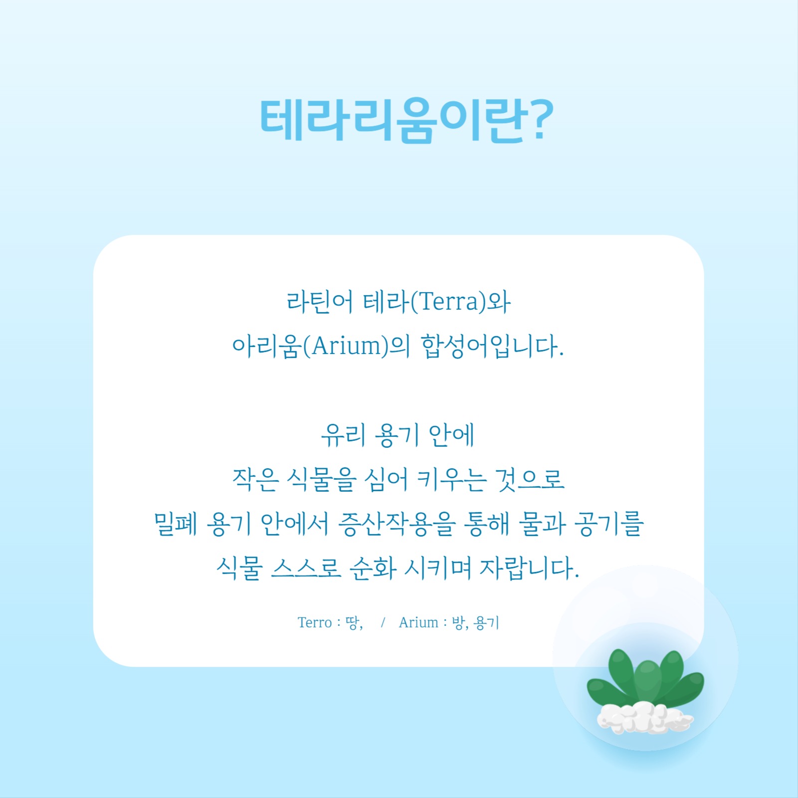 테라리움 만들기 카드뉴스