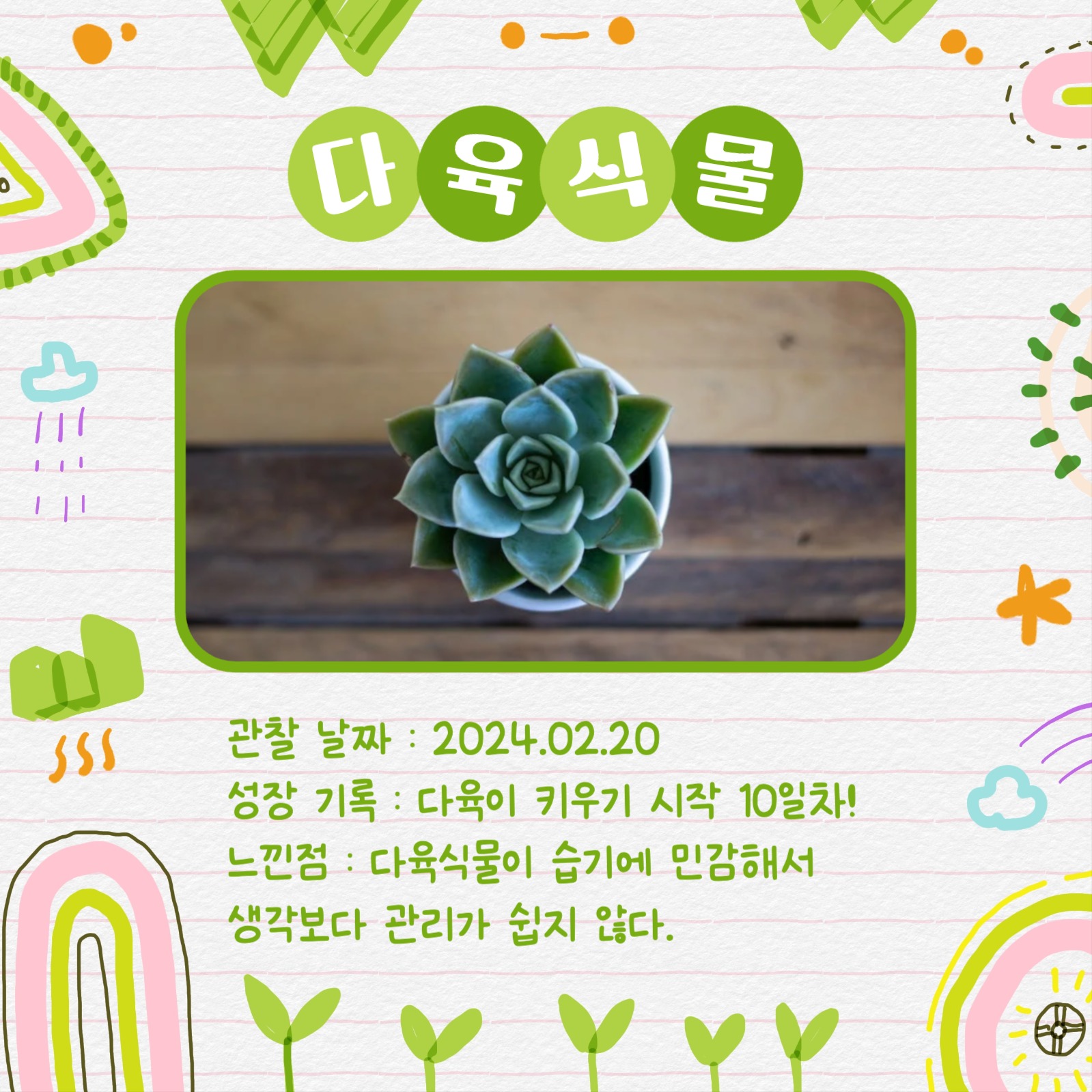 반려식물 관찰일지 카드뉴스