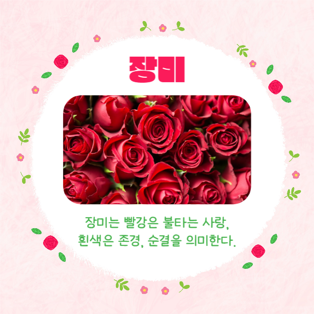 예쁜 꽃말 모음집 (카드뉴스)