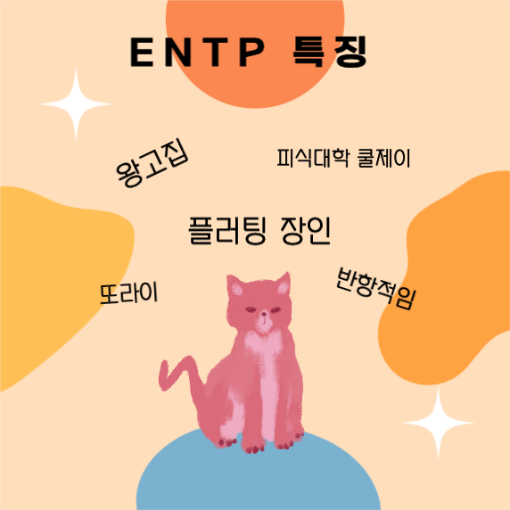 MBTI ENTP 특징