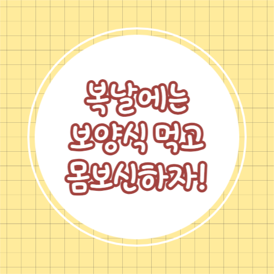 추천 복날 보양식 (카드뉴스)