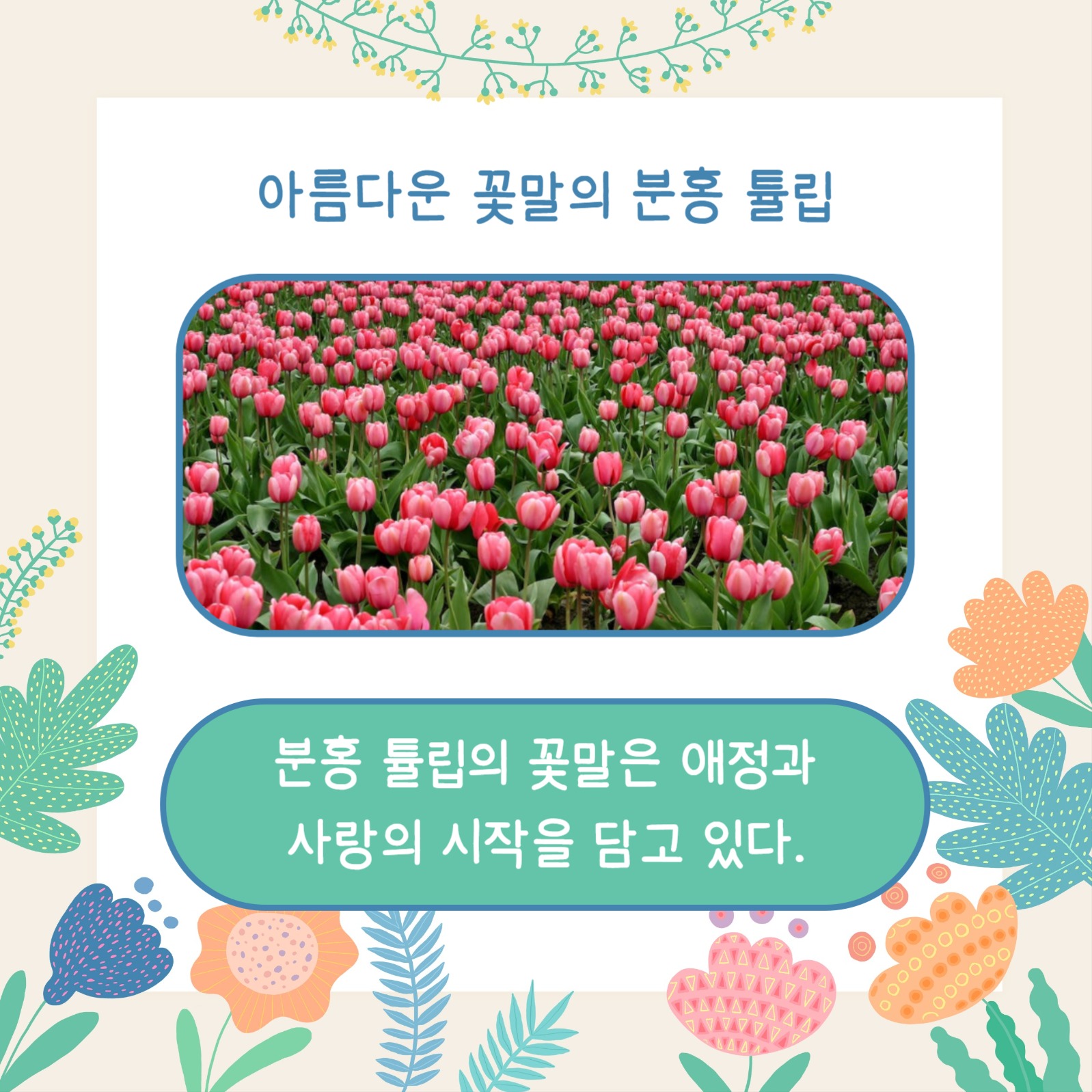 꽃말 예쁜 꽃 (카드뉴스)