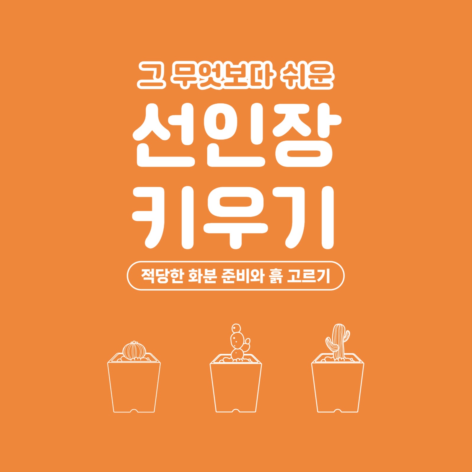 선인장 키우기 카드뉴스