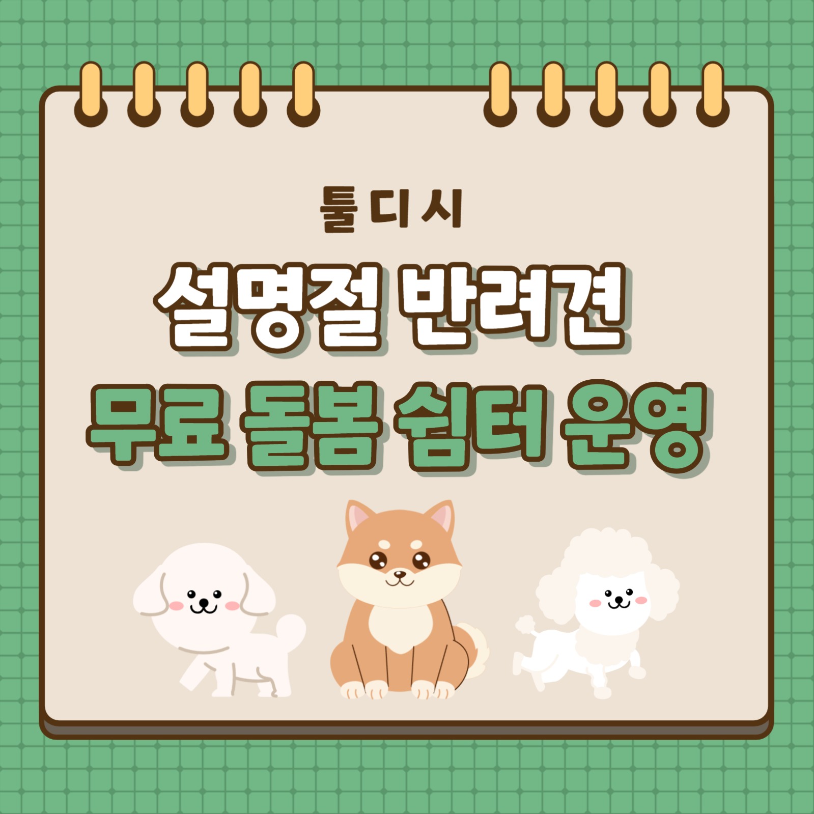 설명절 반려견 무료 돌봄 쉼터 운영