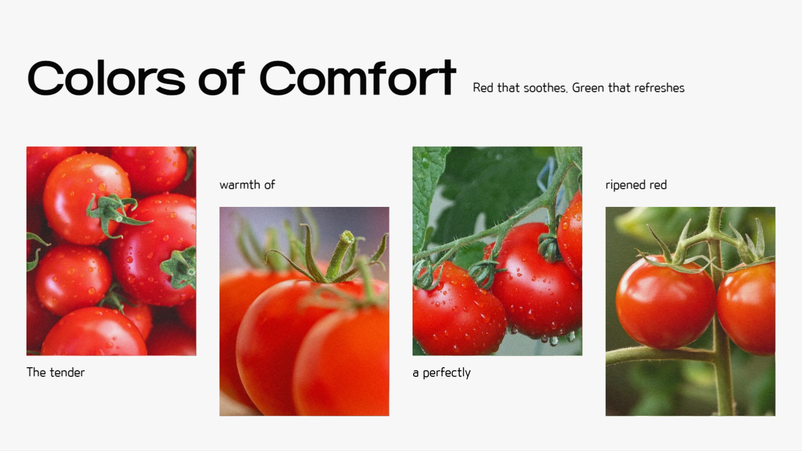 사진을 활용한 감성적인 ppt