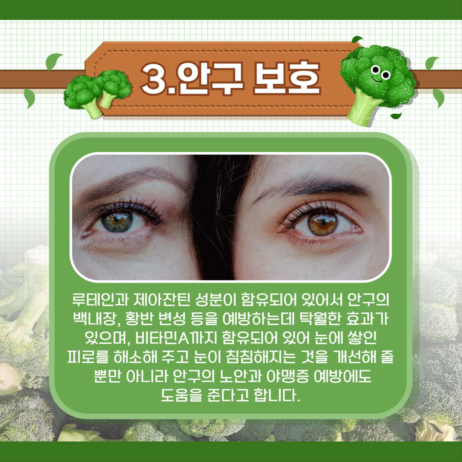 브로콜리의 효능