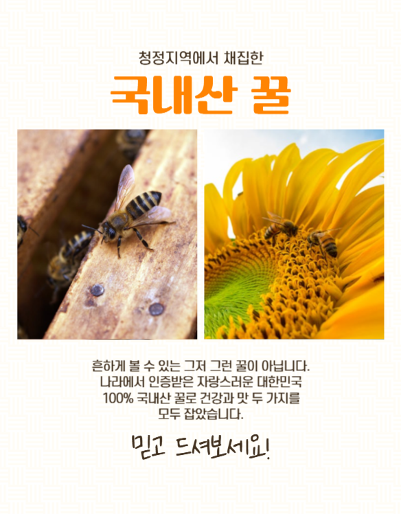국내산꿀 상세페이지