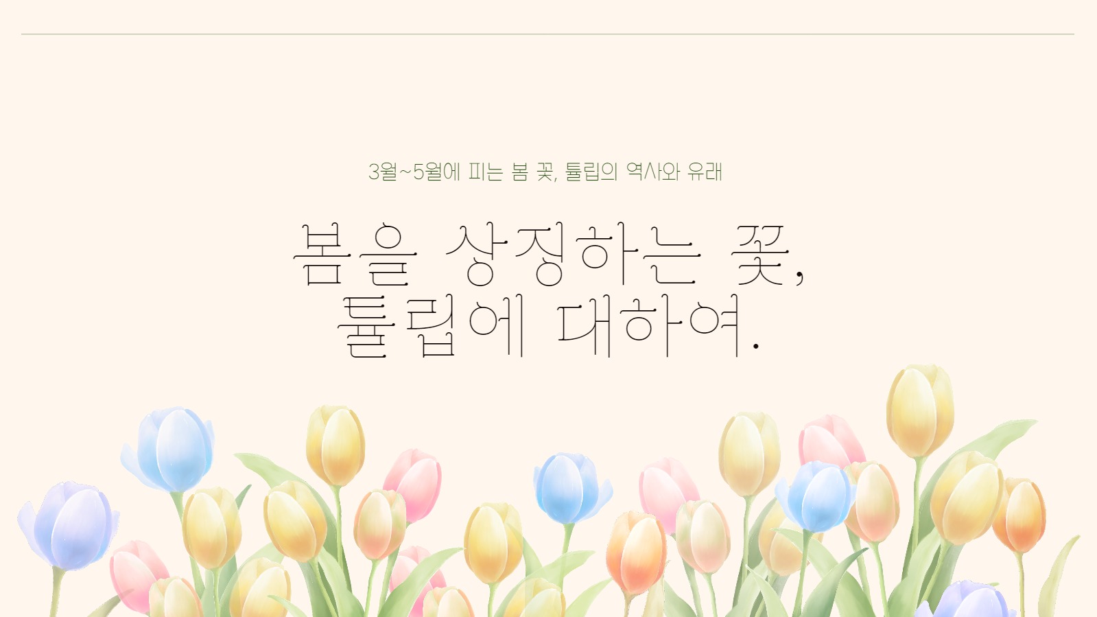 튤립 테마 프레젠테이션