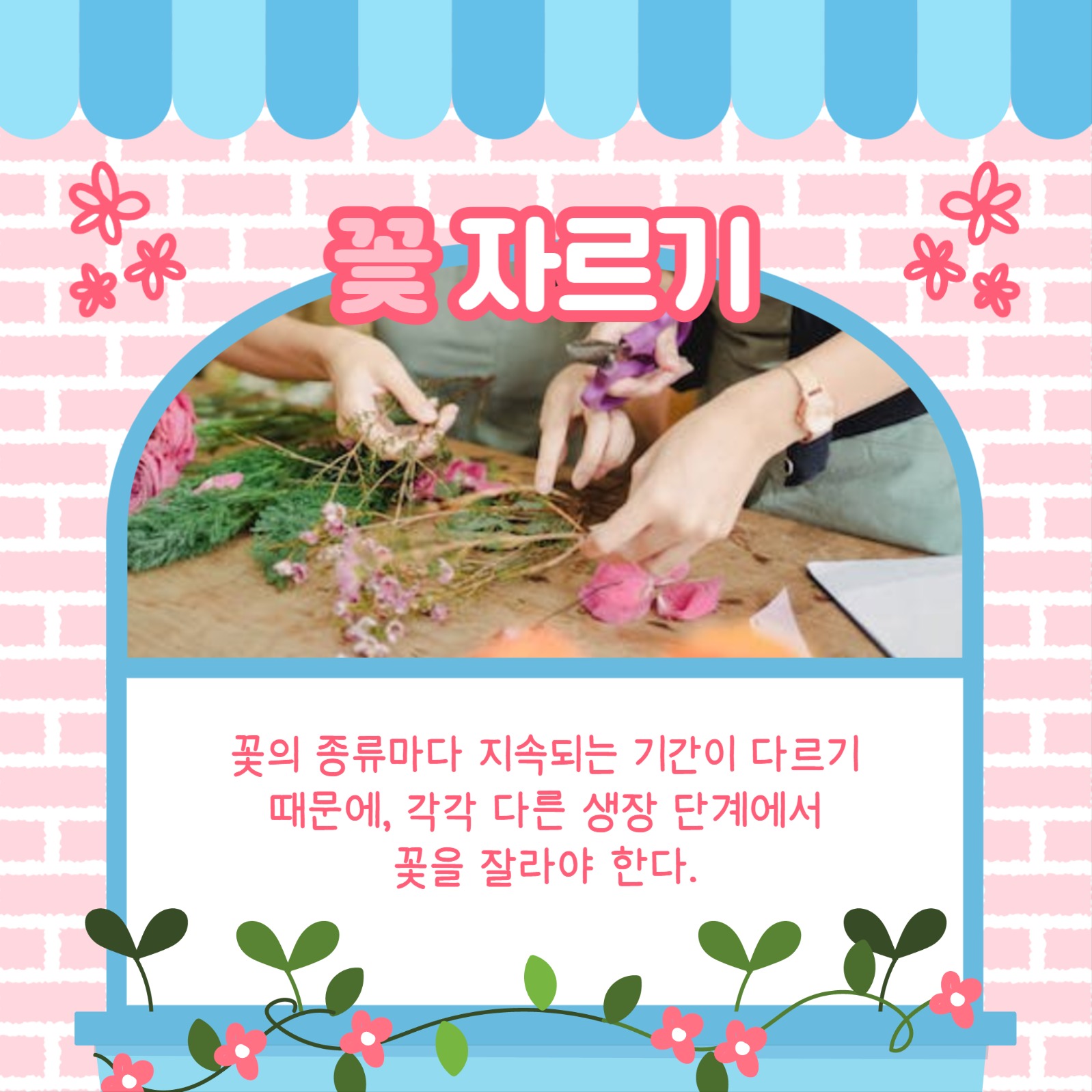 꽃 유지하는 법 카드뉴스