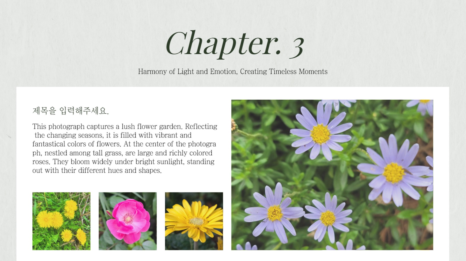 감성적인 포트폴리오 템플릿