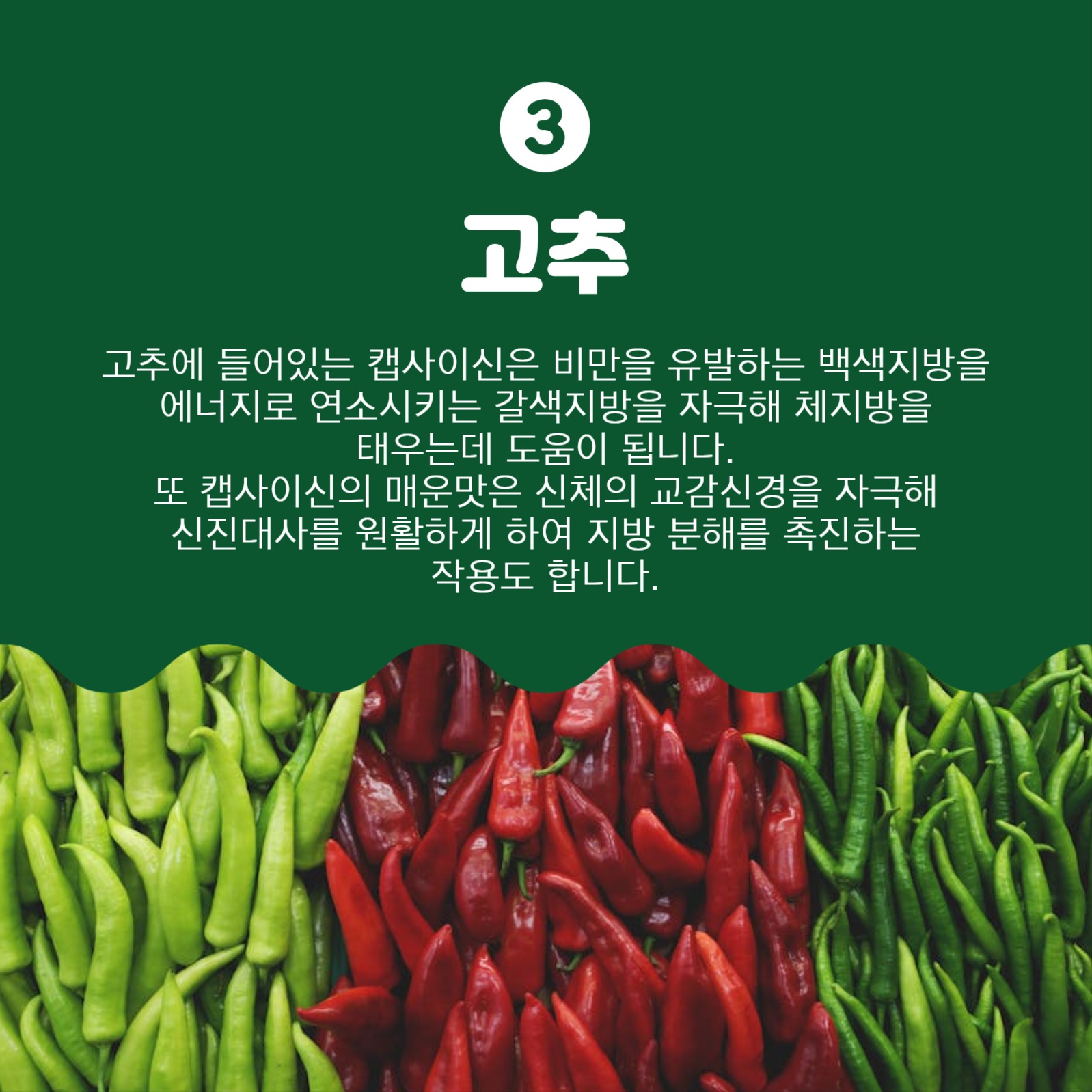 체지방감소에좋은음식