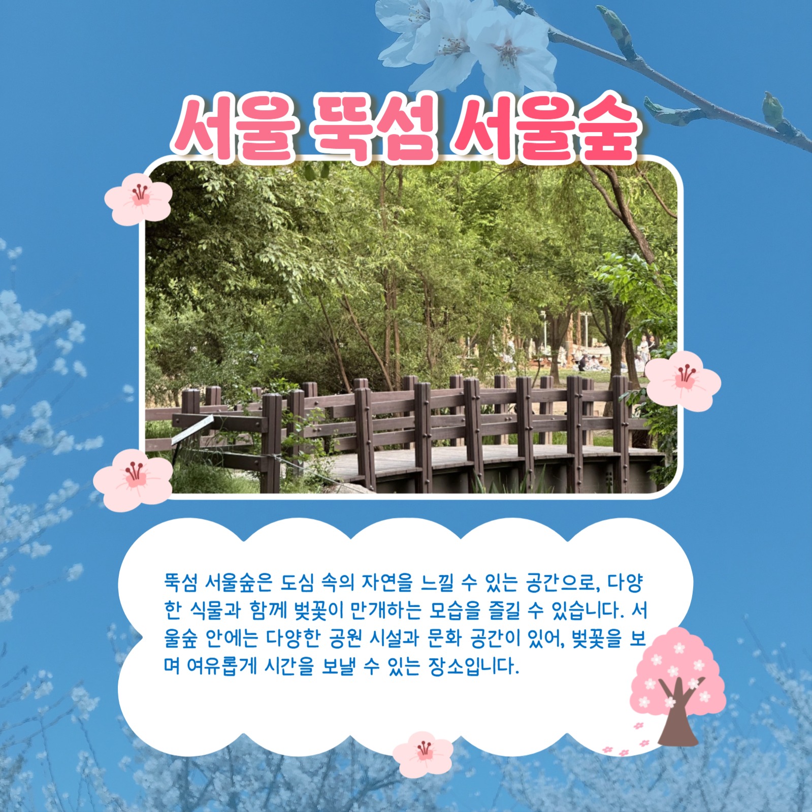 봄맞이 벚꽃 명소 추천 카드뉴스