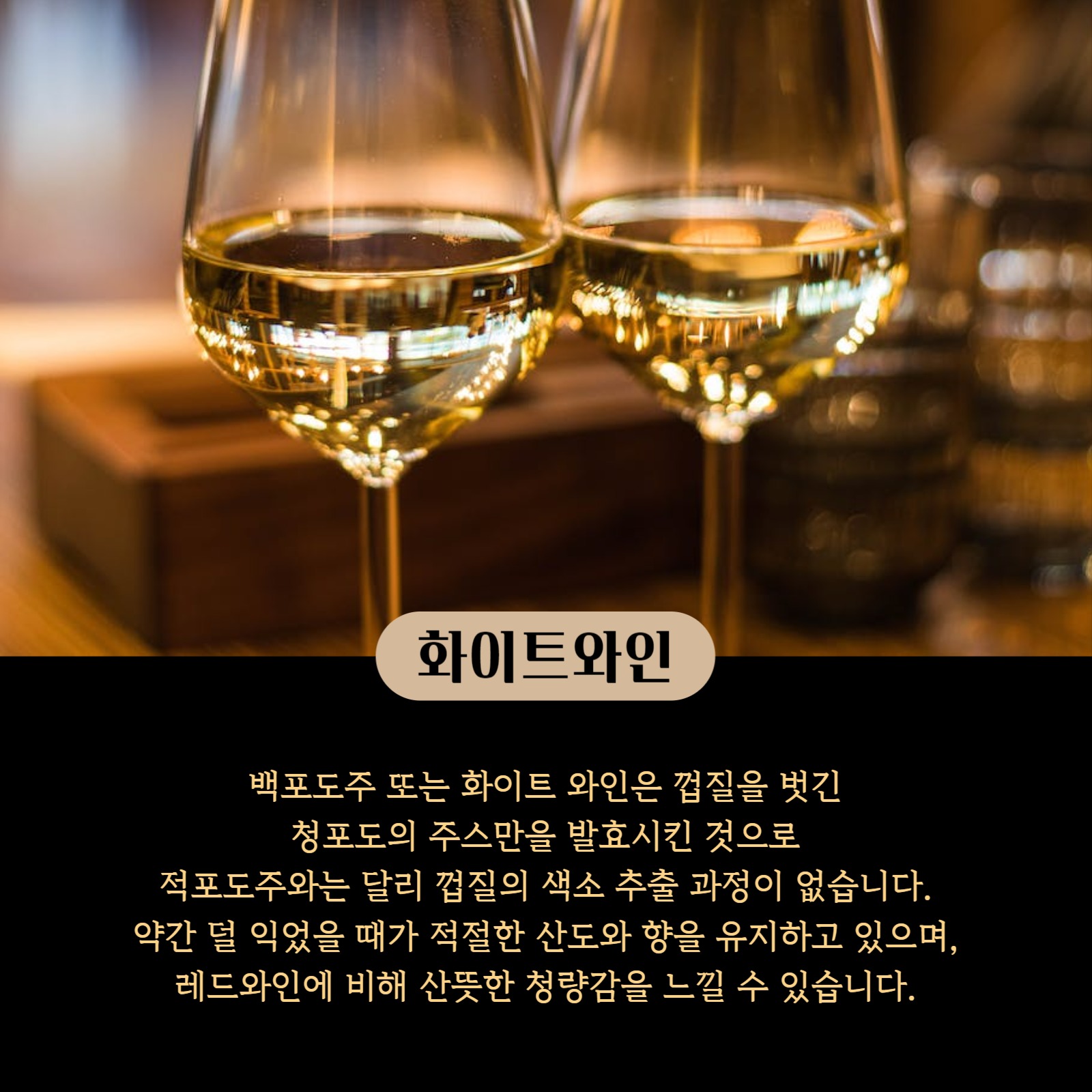 와인이 종류