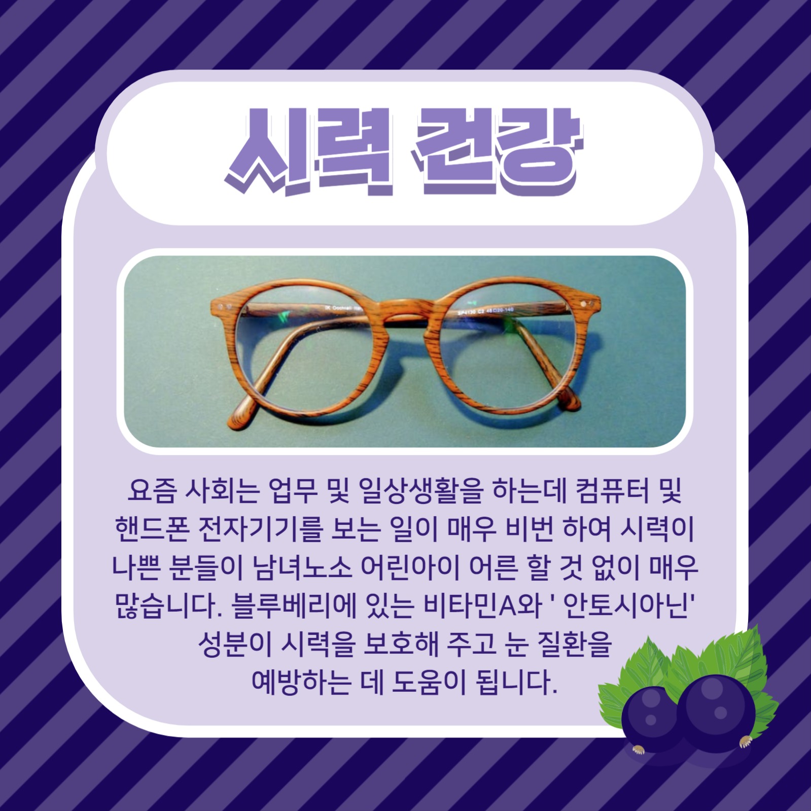 블루베리의 효능