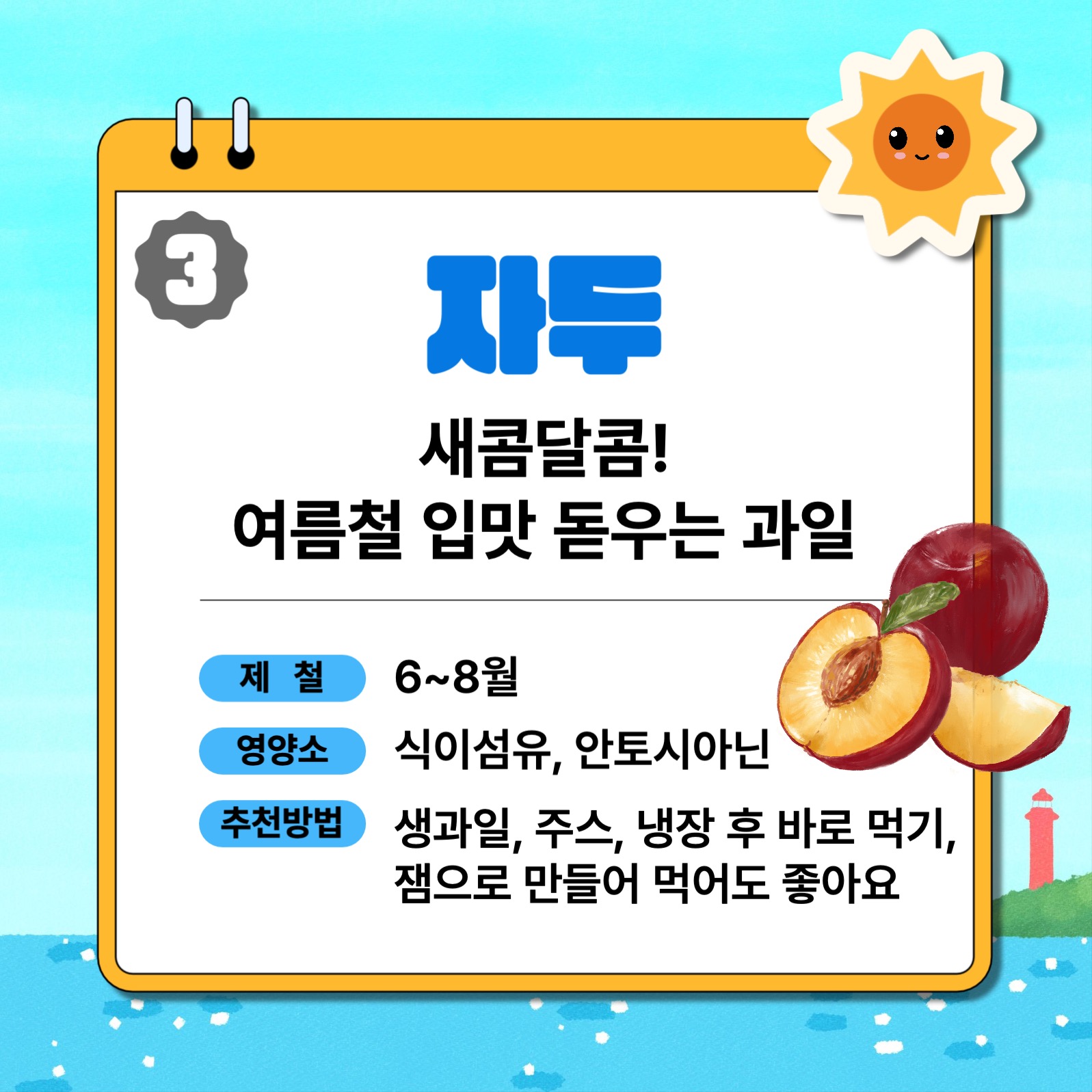 여름제철과일 6가지