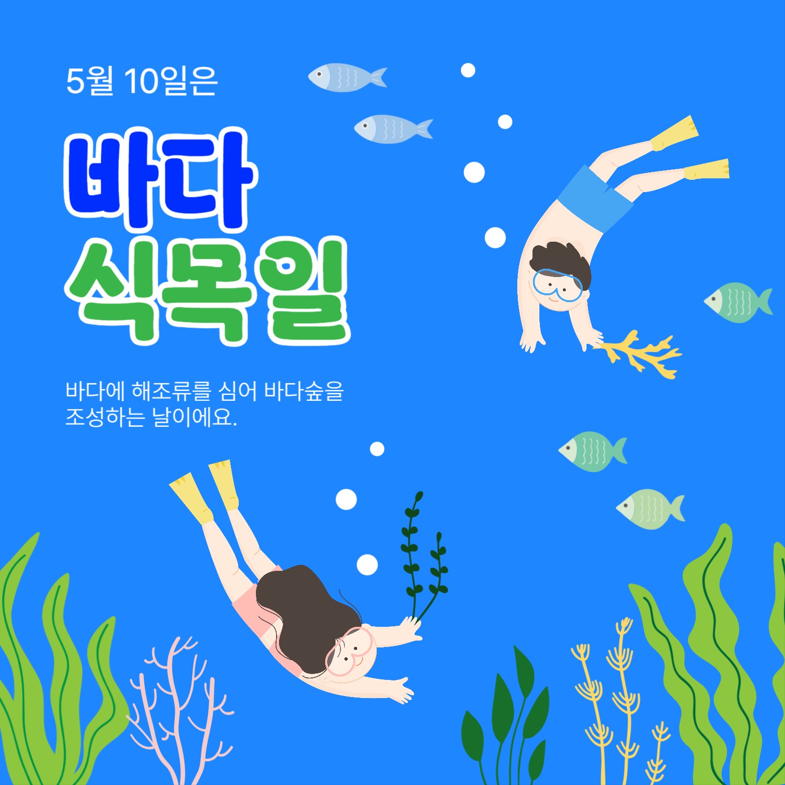 5월10일은바다식목일