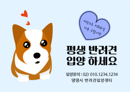 반려견 입양 센터