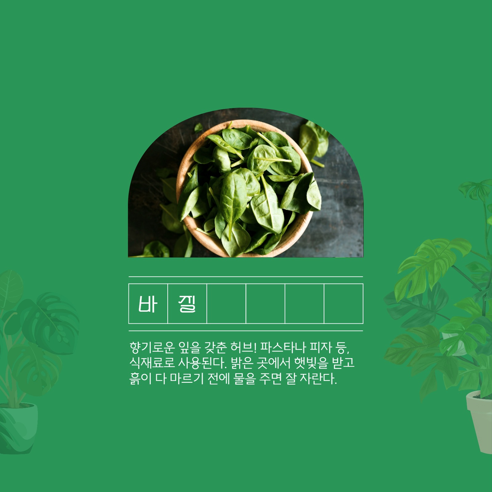 식목일 기념 카드뉴스