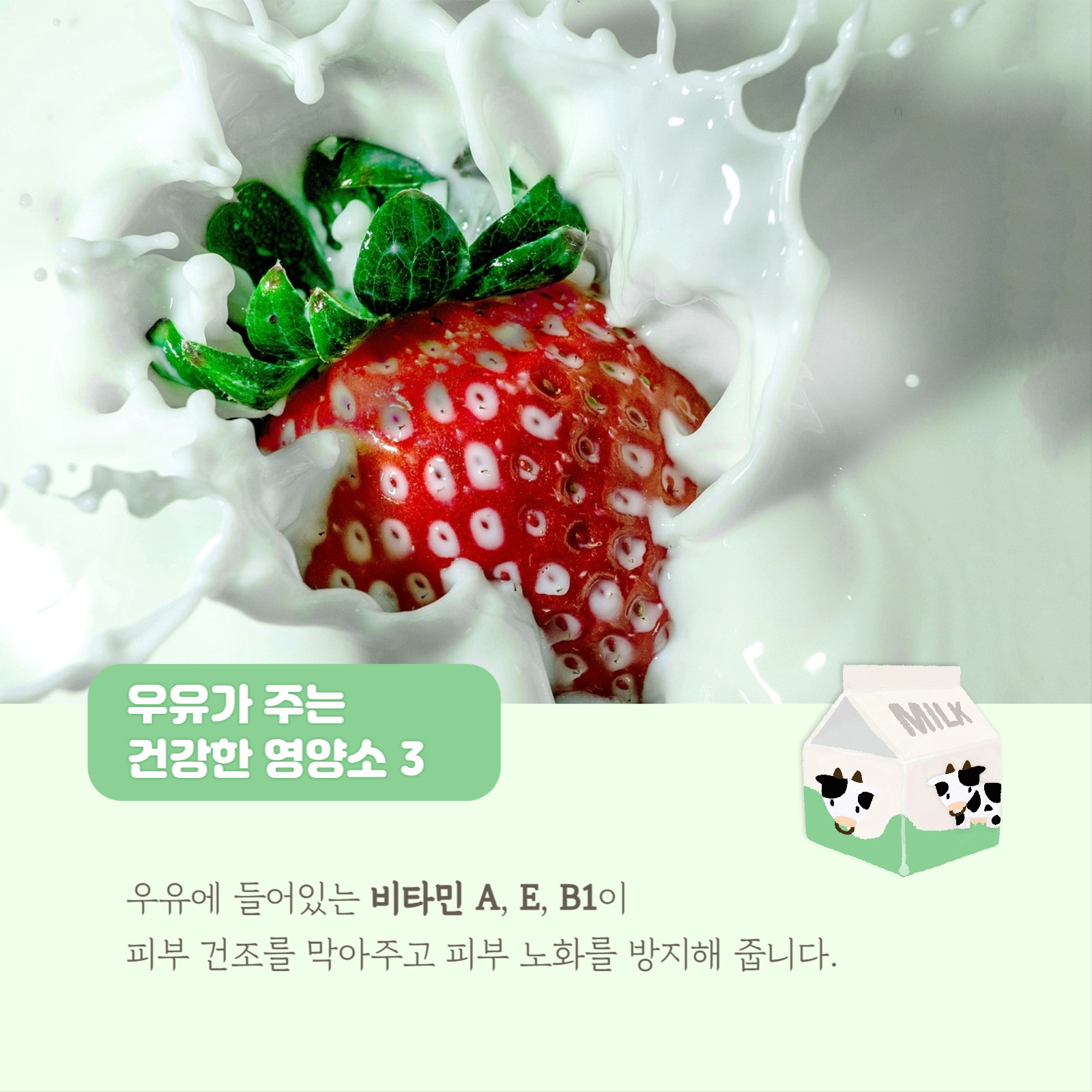 우유가 주는 건강한 영양소