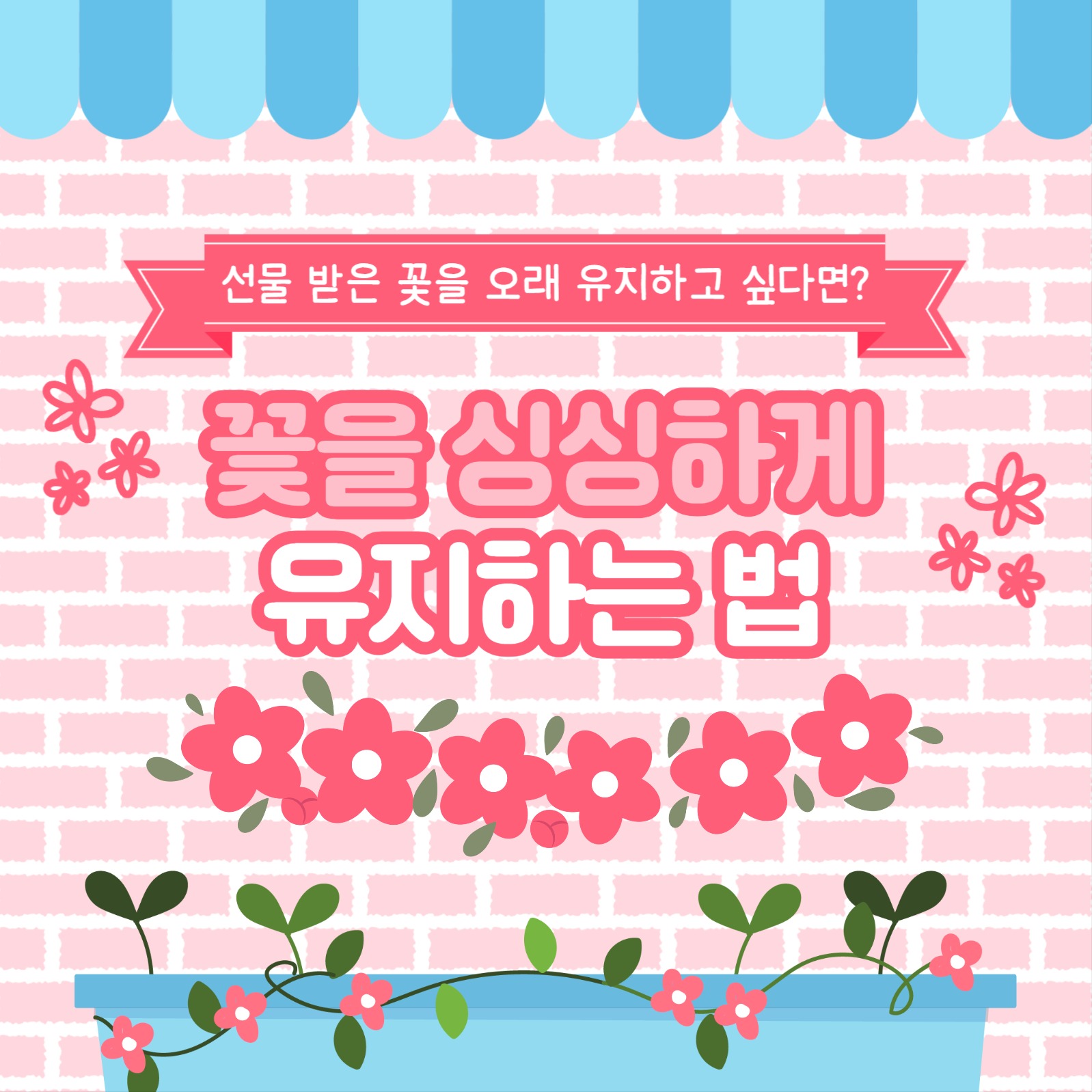 꽃 유지하는 법 카드뉴스