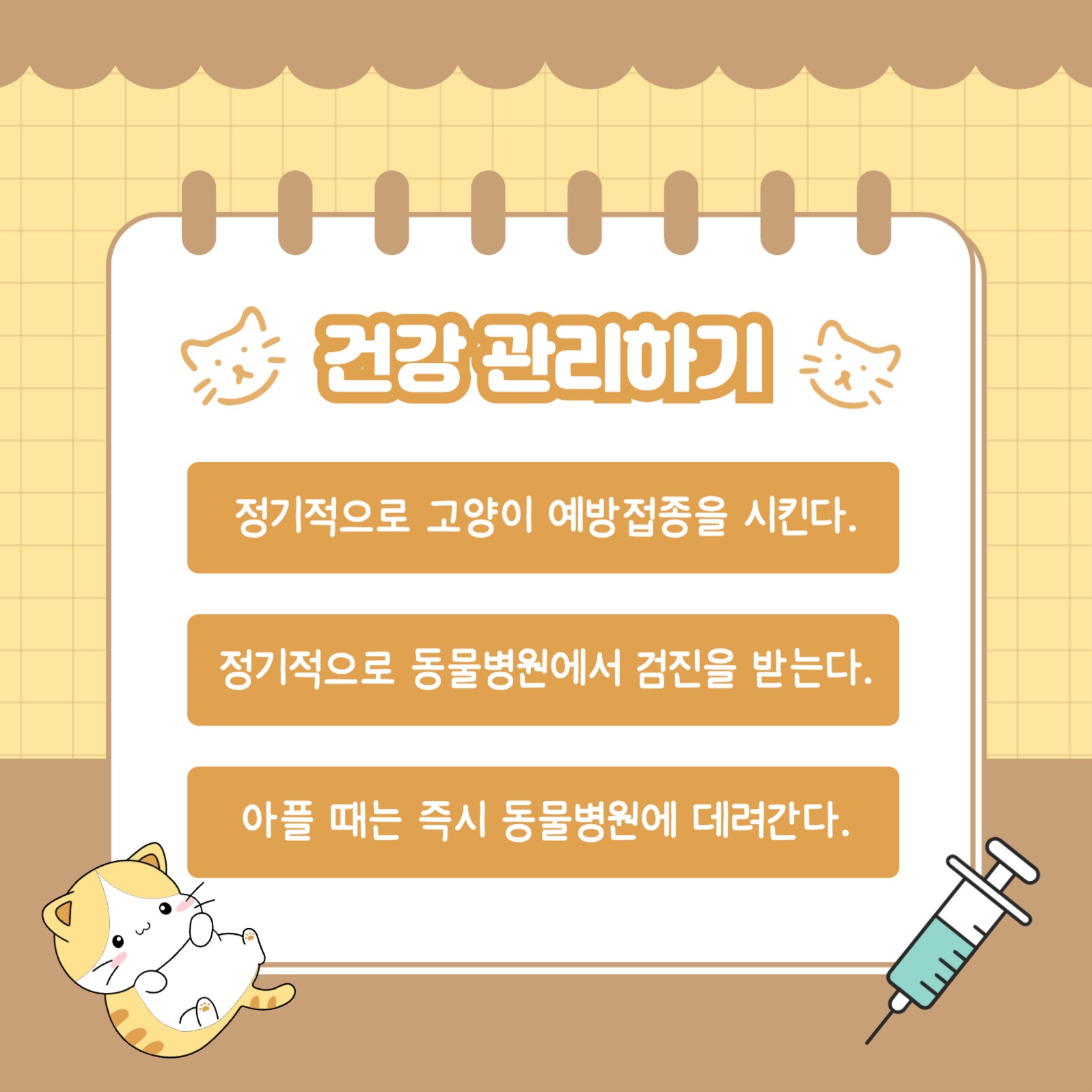 고양이 키우기 꿀팁 카드뉴스