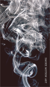smoke motion art 명함