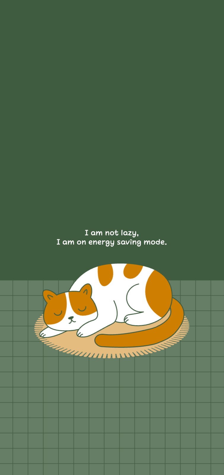 잠자는 고양이 충천중 배경화면