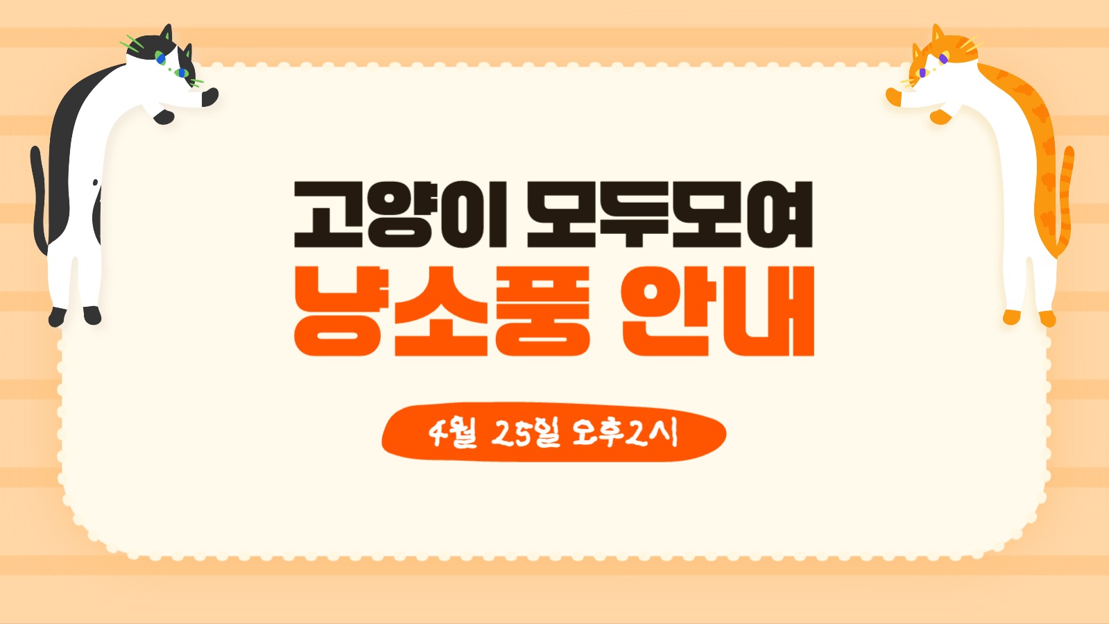 고양이 모두모여 냥소풍!