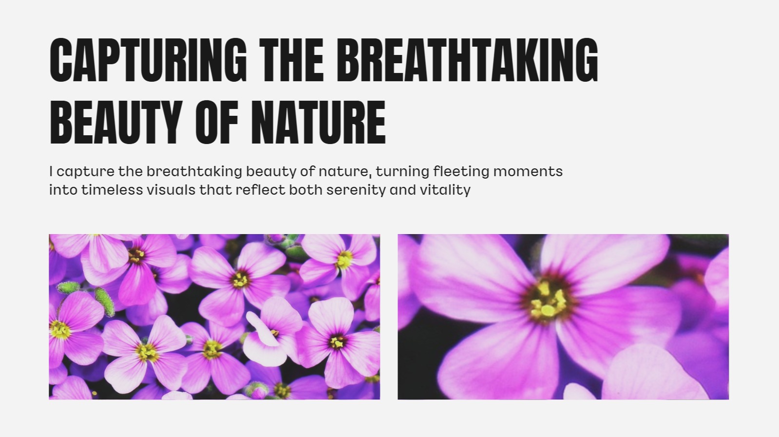 감성적인 포트폴리오