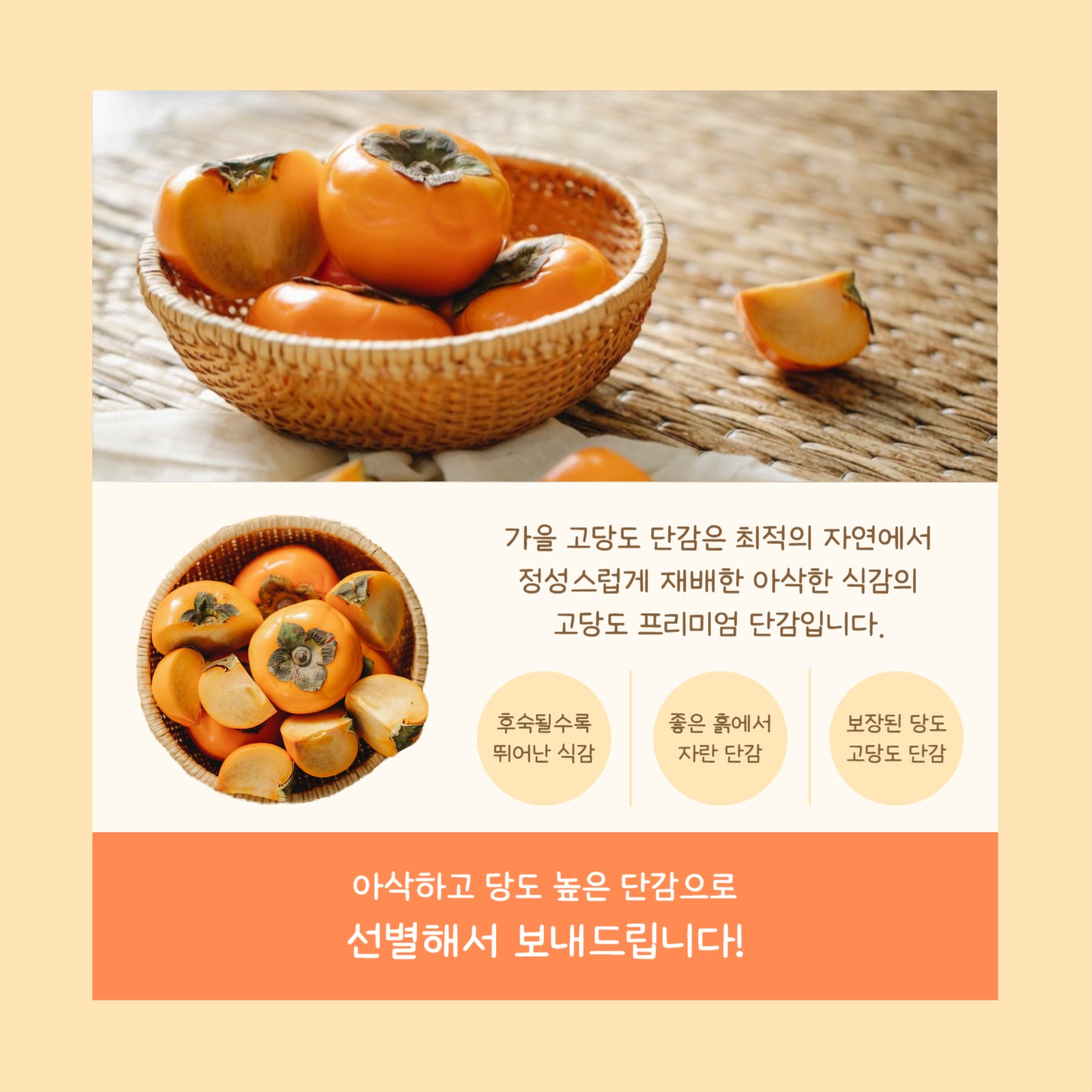 가을 고당도 단감 (카드뉴스)