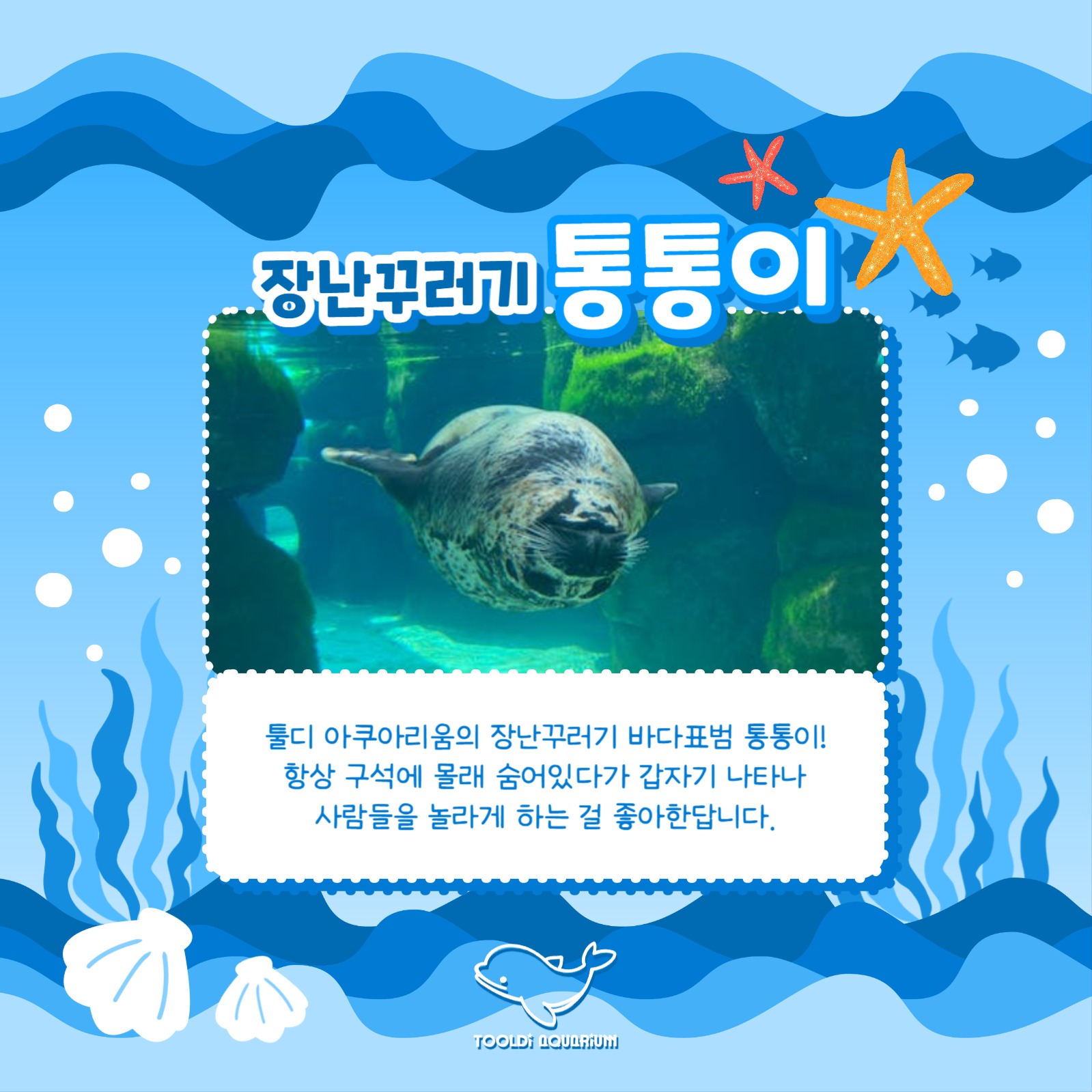 아쿠아리움 홍보 카드뉴스