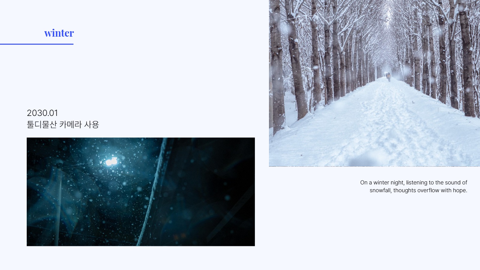 디자이너 포트폴리오