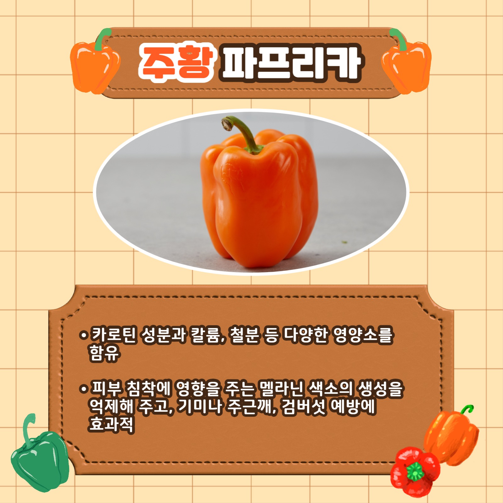 파프리카의 효능 카드뉴스
