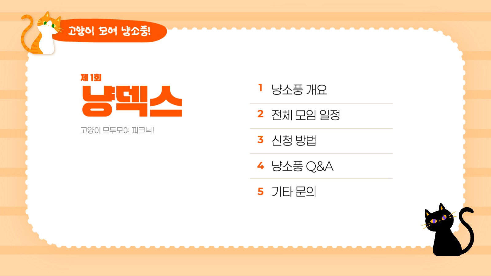 고양이 모두모여 냥소풍!