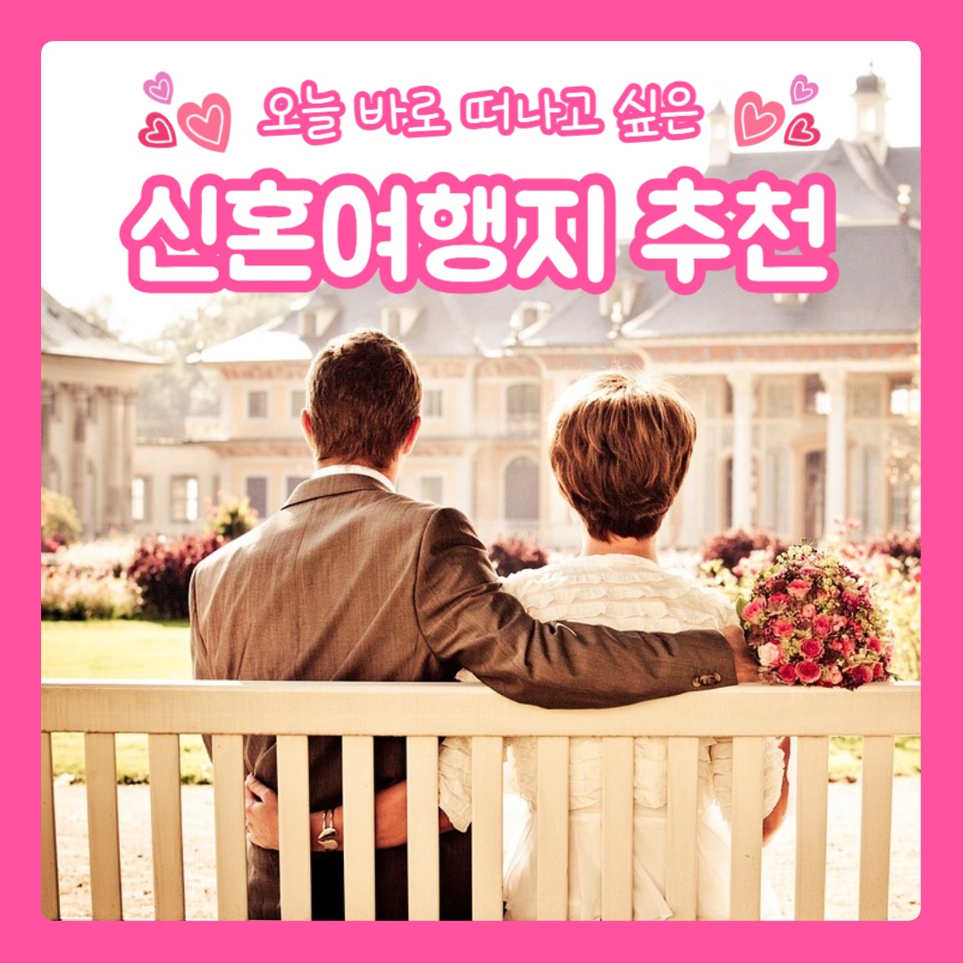 신혼여행지 추천 (카드뉴스)