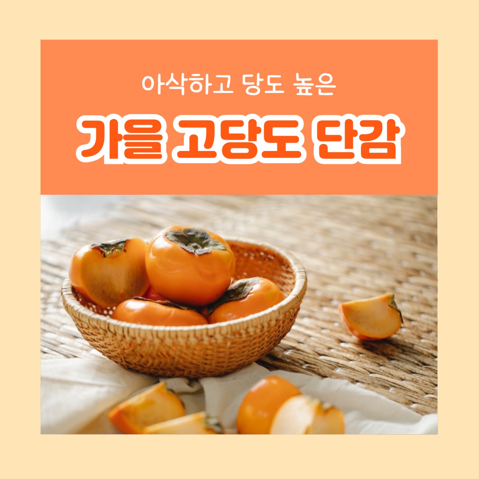 가을 고당도 단감 (카드뉴스)