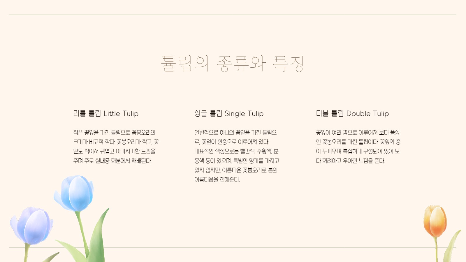 튤립 테마 프레젠테이션