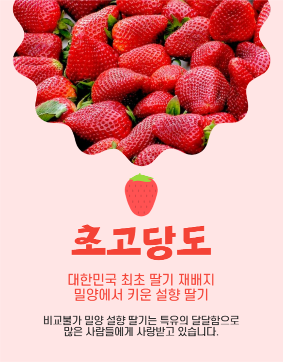 딸기 상세페이지