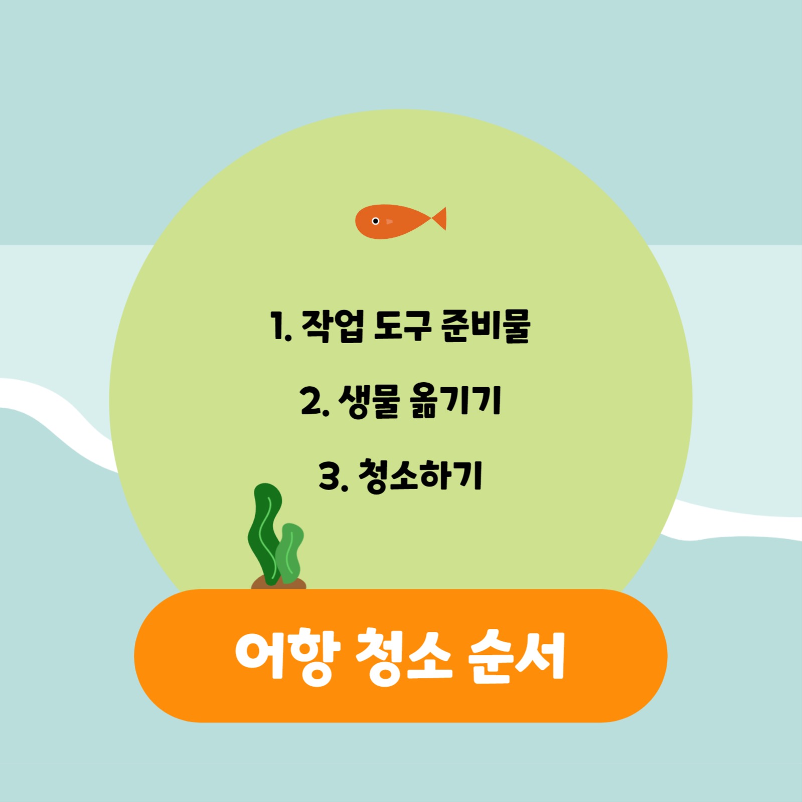 어항 관리하기 카드뉴스