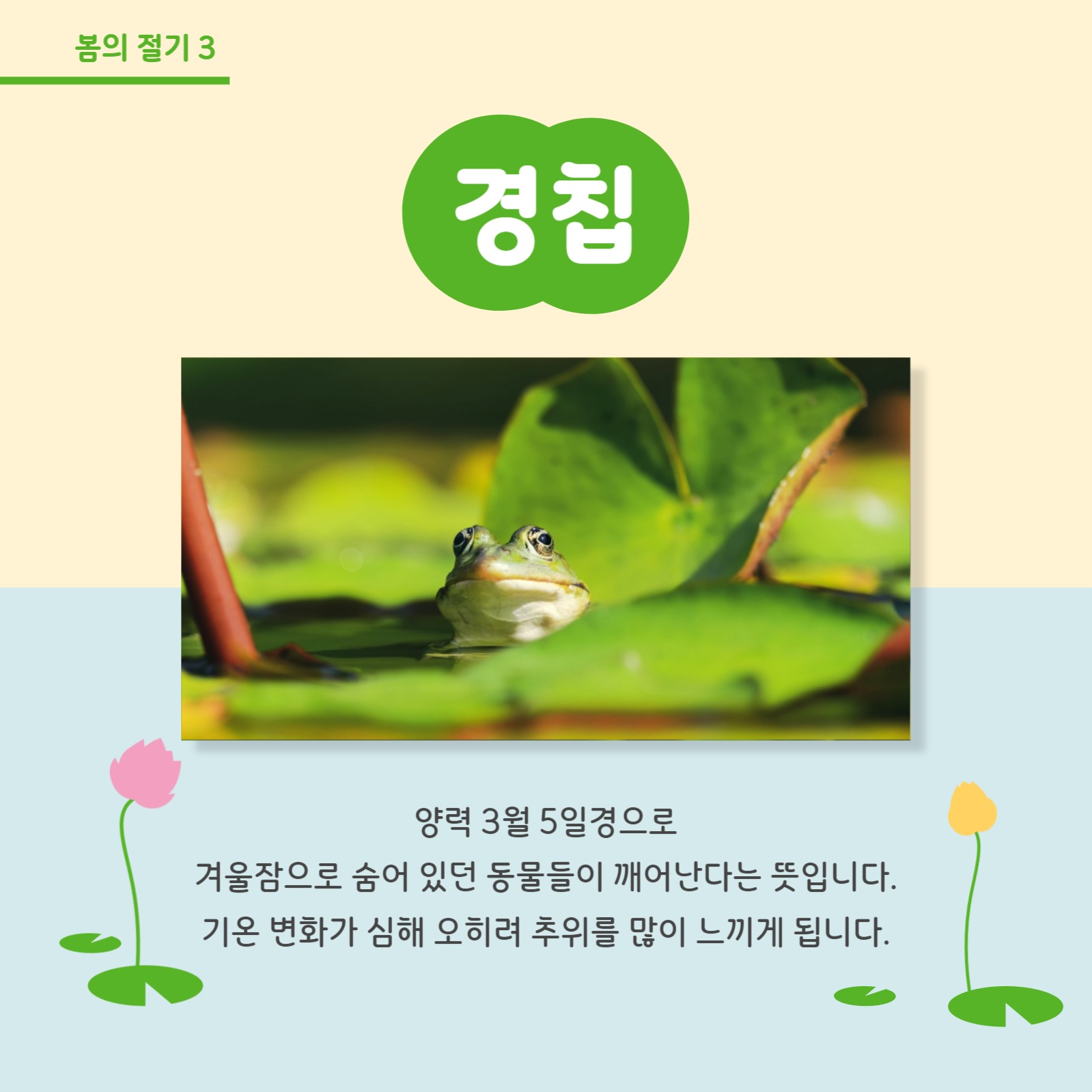 봄의 절기 알아보기 카드뉴스