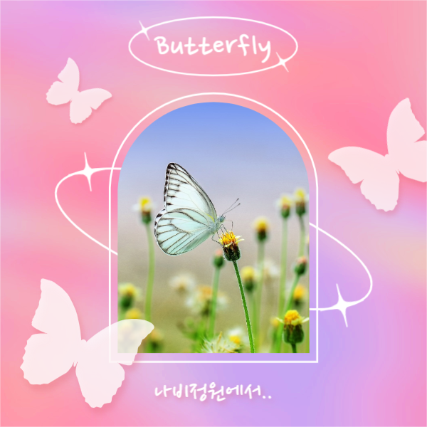 Butterfly (페이스북)