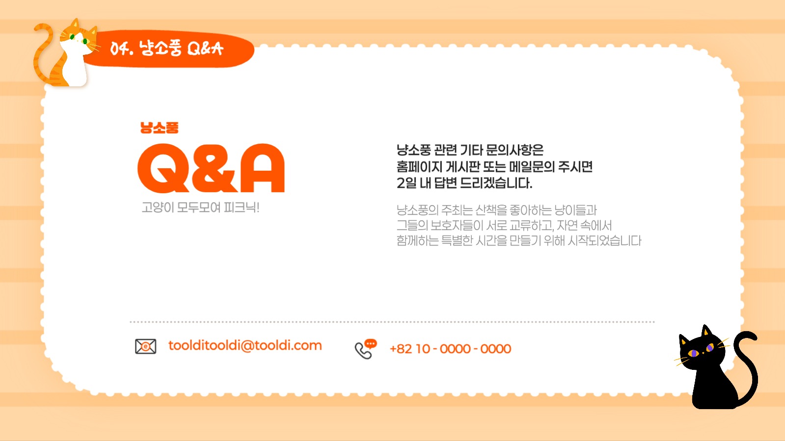 고양이 모두모여 냥소풍!