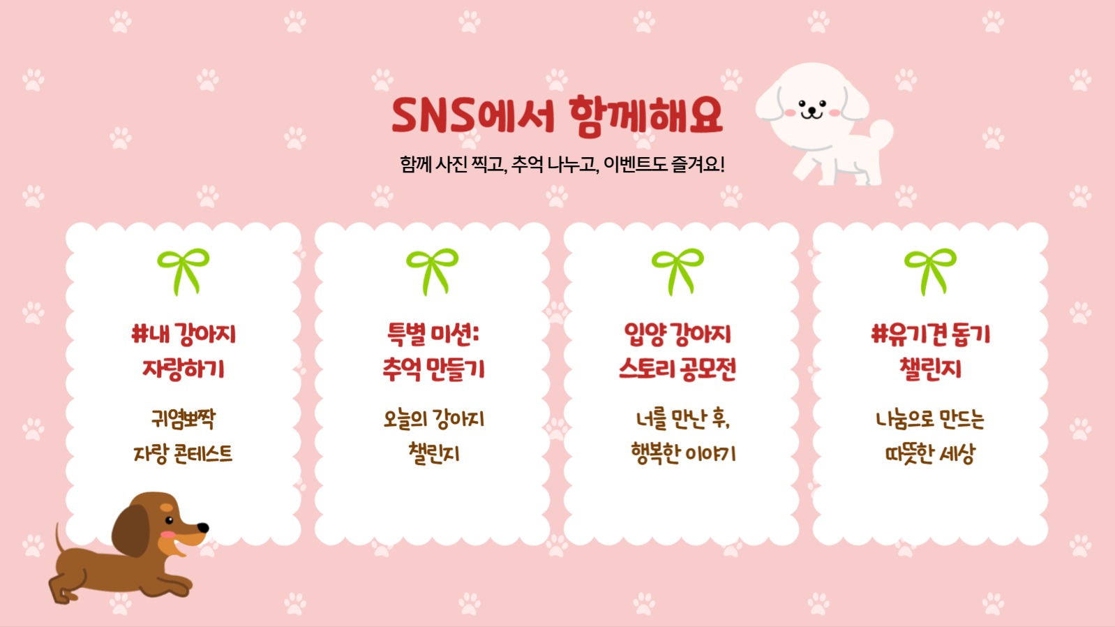 국제 강아지의날 행사