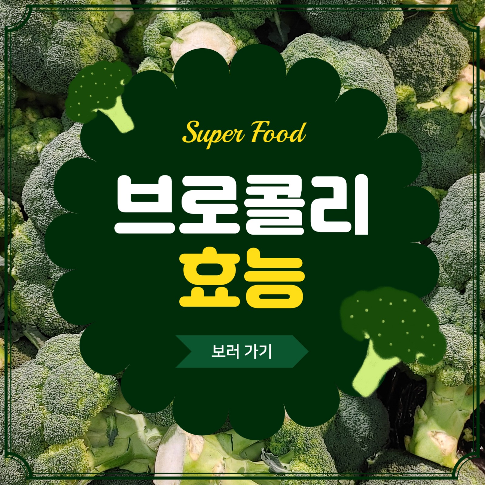 브로콜리의효능