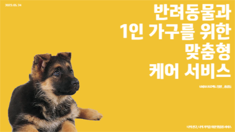 반려동물 케어 서비스 발표 프레젠테션