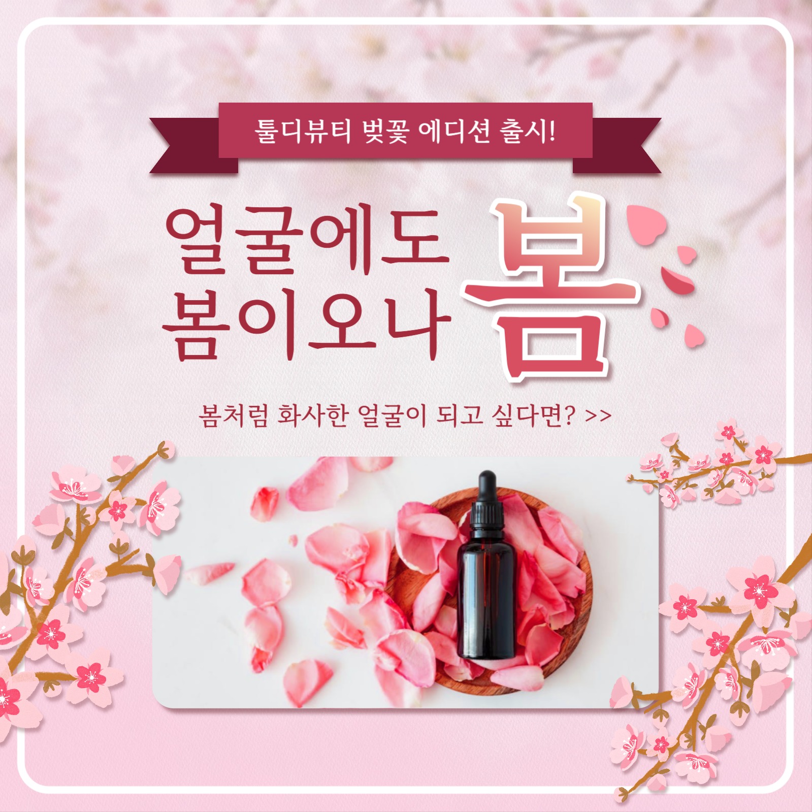 봄 화장품 카드뉴스