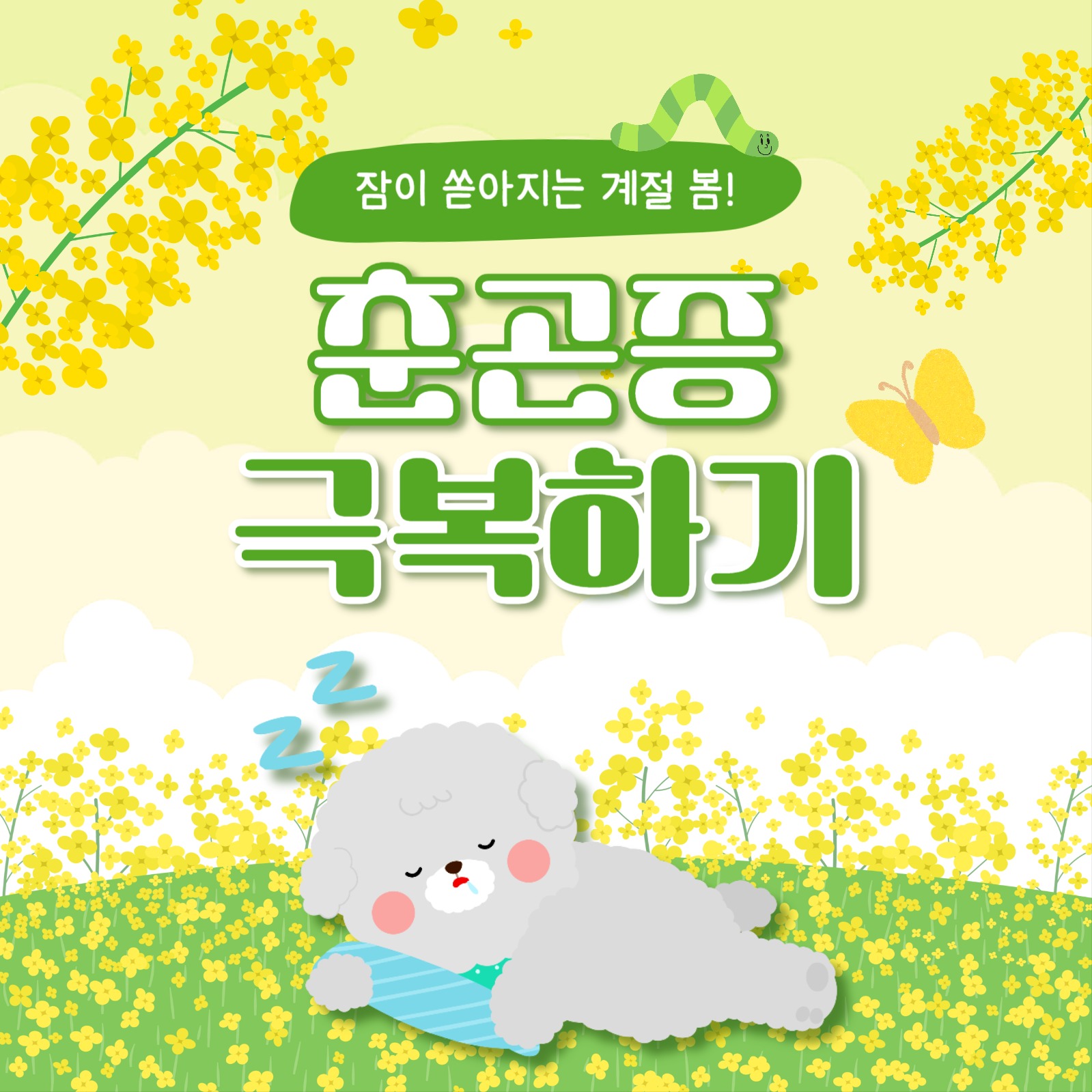 춘곤증 극복하기 카드뉴스