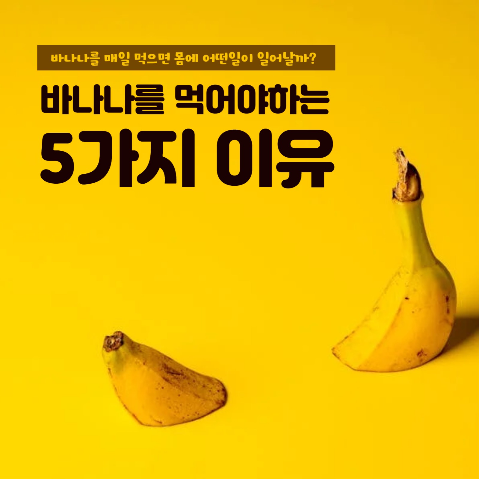 바나나를 매일 먹어야 하는 이유