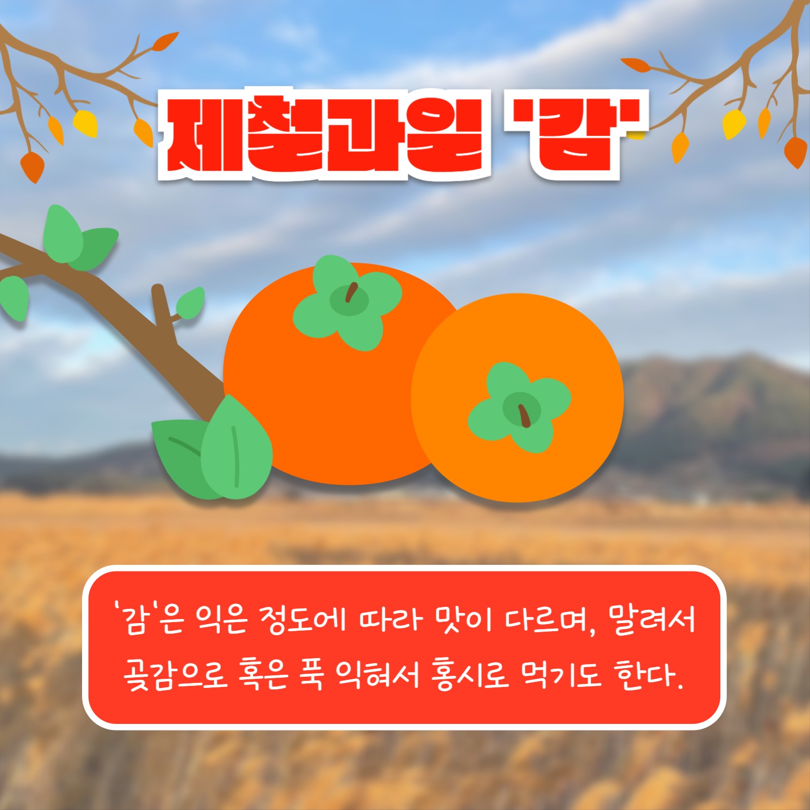 제철과일 Best 3 (카드뉴스)